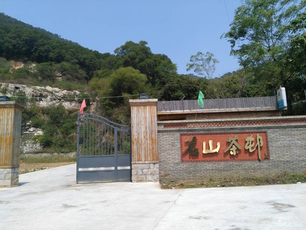 福建泉州茗山茶村.jpg